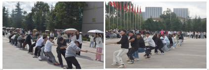 图片2 图片2