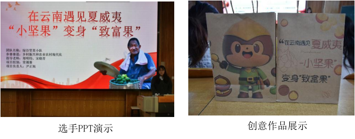 图片6 图片6