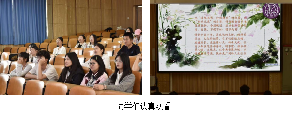 图片6