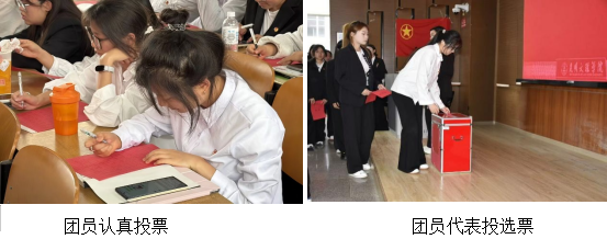 图片4