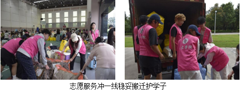 图片1 图片1